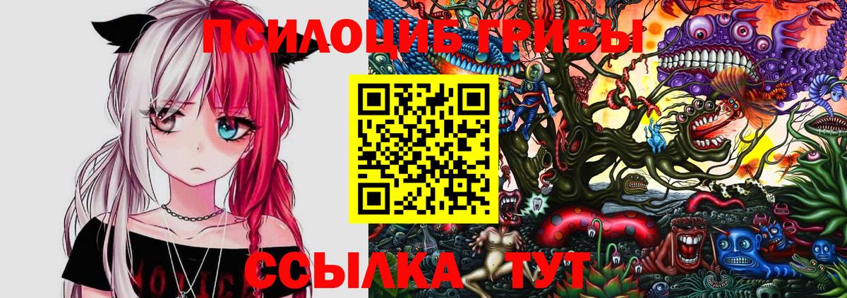 сколько стоит  Владивосток  Псилоцибиновые грибы GOLDEN TEACHER 