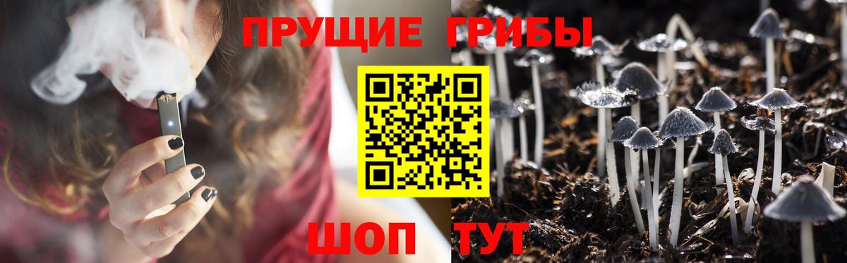 Псилоцибиновые грибы ЛСД  Вход с VPN  где купить наркоту  Владивосток 